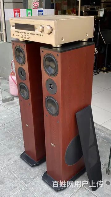 转让一对丹麦雅锐发烧音箱，低音在侧面，配套马来西亚 - 图片 11