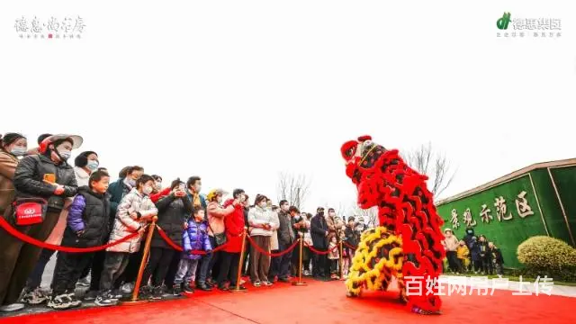 舞龙舞狮兼职上午半天 - 图片 3