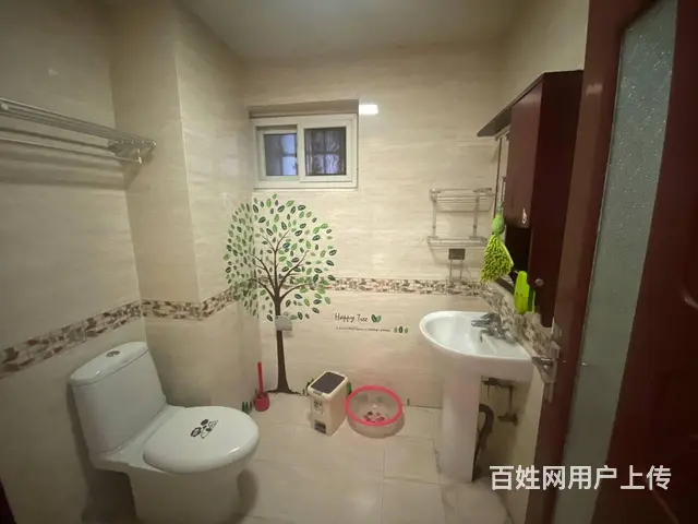 南昌路  王府井旁  汤泉国际  精装三居 电梯 中央空调 - 图片 8