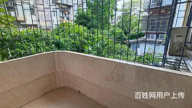吉大 吉大新村 精装全新2房 好格局      便宜急租 - 图片 8