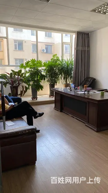 出租 - 图片 9