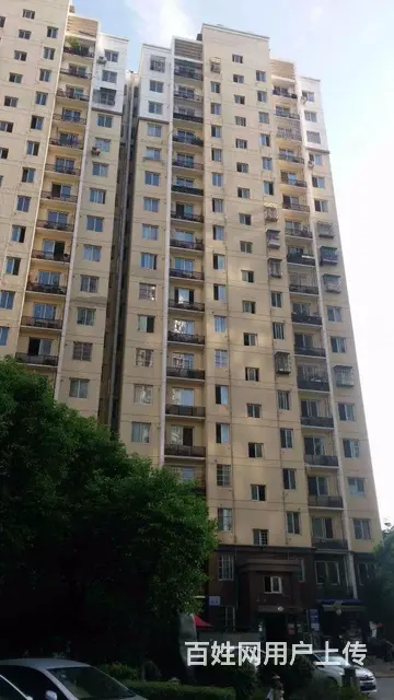 洪山周边超值好房便宜出租了！急急急！ - 图片 10