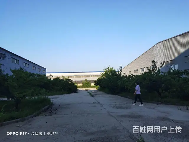 于洪7800平厂房办公楼出租 - 图片 2