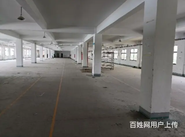 洛阳市春都路大中型仓库，厂房便宜出租 - 图片 4