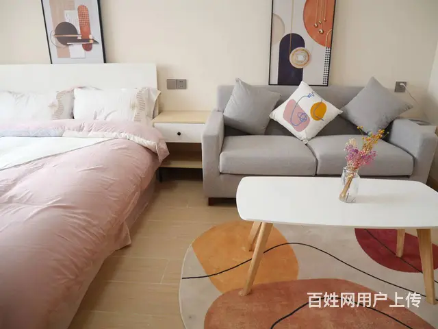 常州新北租房 龙虎塘街道  直租 押一付一 可短租 拎包入住 - 图片 2