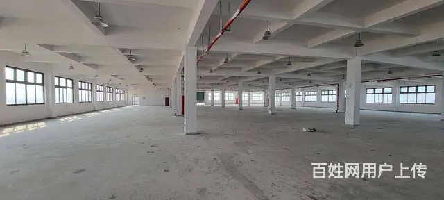 董浜工业园全新独栋独院厂房8400平，可分租，配套设施齐全 - 图片 2