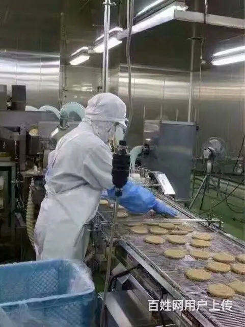 临汾出国打工去哪个国家好牧场普工招发达国家项目 - 图片 12