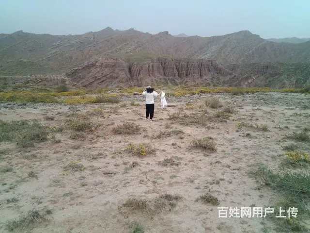 真诚征婚非诚勿扰 - 图片 3