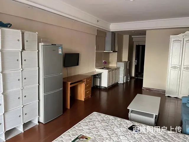 【搞定了！】鸡西万达公寓 公寓1厅 精装修 - 图片 3