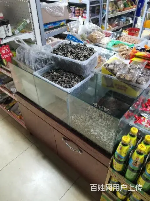 实木散粮货架柜 - 图片 2
