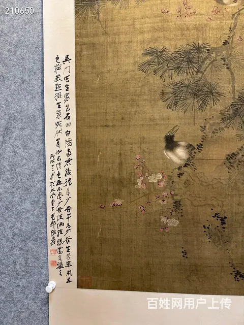 周之冕《松寿图》绢本立軸，画心尺寸66.5/154 - 图片 6