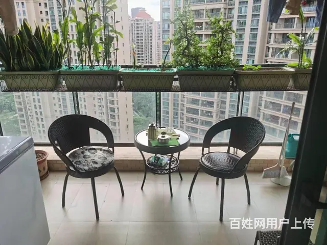 新香洲 21梅华中 仁恒星园 保养好三房两卫 - 图片 10