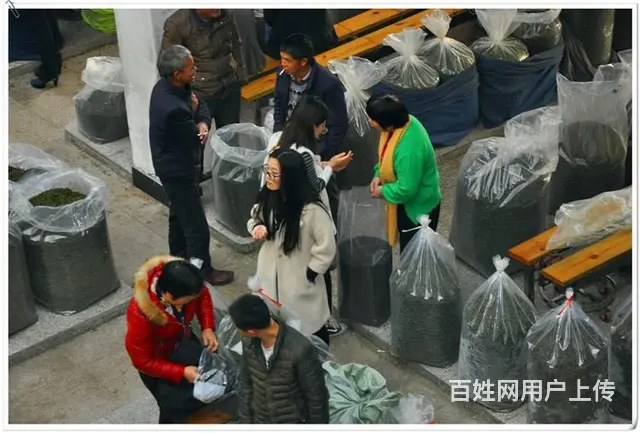 中国茶学系统培训班 学什么？ - 图片 11