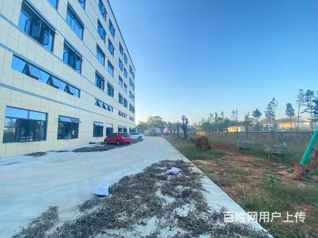 （房东直租）浏阳淳口镇大型商铺，厂房，仓库招租，可分租 - 图片 11