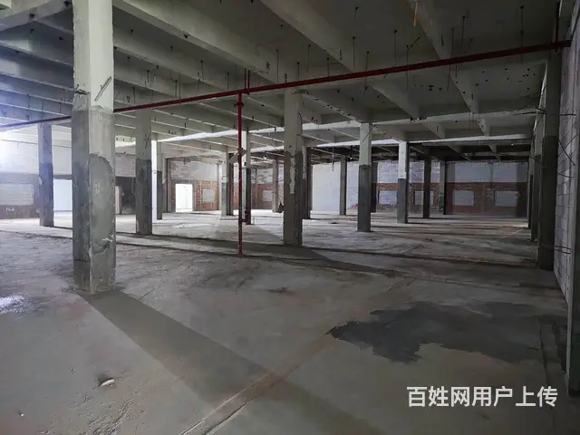 珠海金嘉创意谷旁 200-3000㎡办公运动场地 25元起 - 图片 2