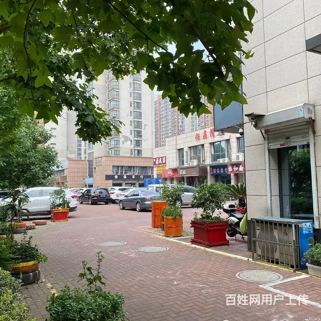 弘阳广场 中吴大道单价九千多买沿街旺铺 世纪华城 - 图片 3