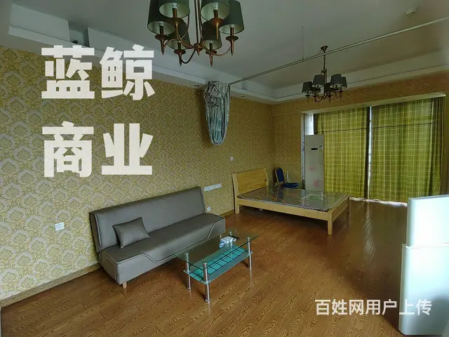 高铁站地铁口65平商住一体 - 图片 3