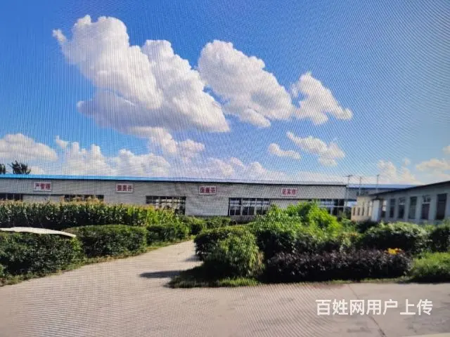 于洪区永安桥厂房出租 - 图片 1