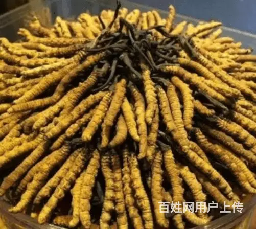 孝昌县回收整箱茅台酒 - 图片 3