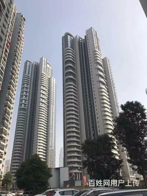 简约干净风 近东亭 沙湖公园 都市经典 桃源国际 - 图片 10
