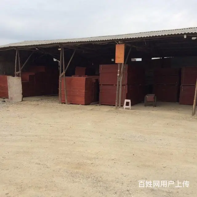 福建最大旧木材交易、回收基地 - 图片 1