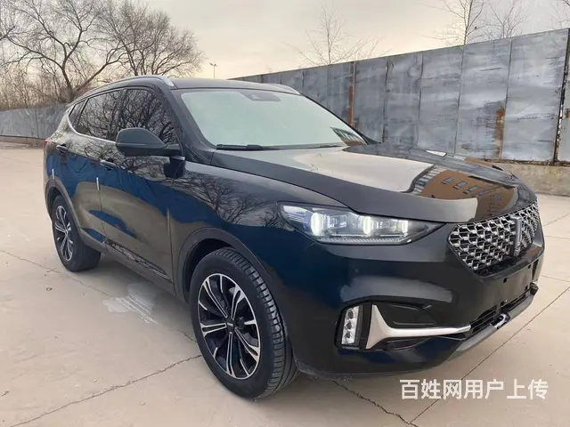 WEY VV6 2021款 2.0T 双离合 两驱智行 - 图片 4