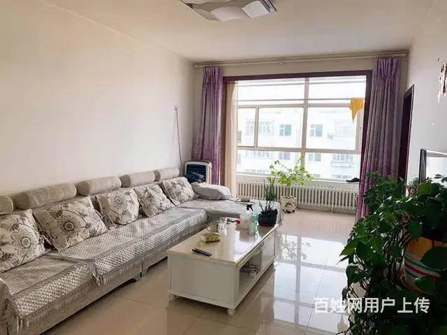 市中心 首付四万 南北通透 拎包入住 随时看房 - 图片 8