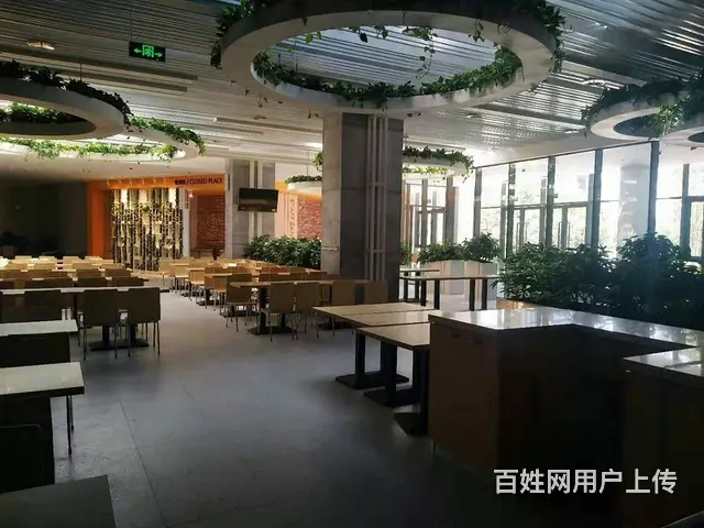 浑南丨软件园丨580平丨花园办公纯写丨沈本大道丨可租可售 - 图片 7