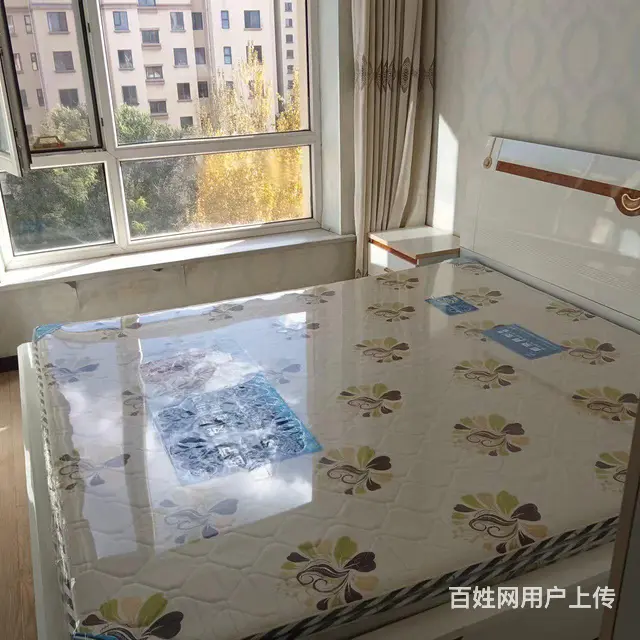 南 - 图片 4