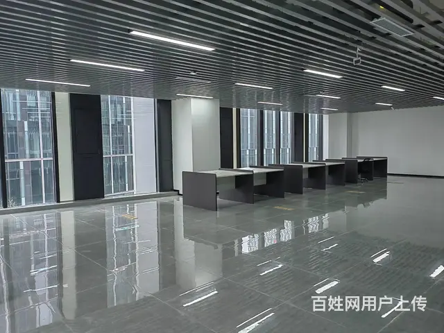 金融集聚区1300平整层精装纯办公看大龙湖全景 - 图片 3