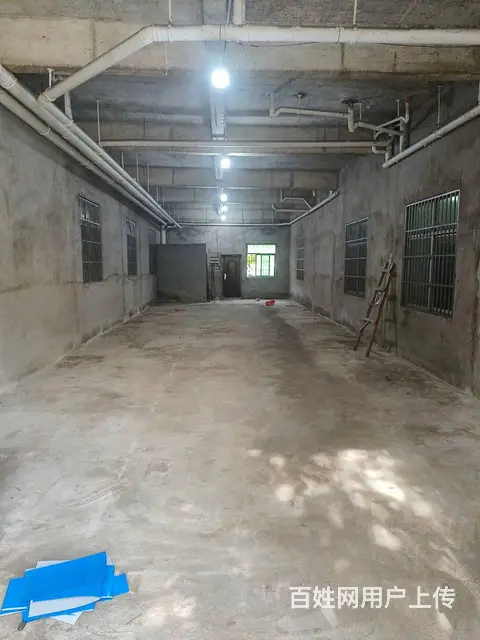 （51旺铺推荐）荔枝沟新中路180平店铺出租 - 图片 4
