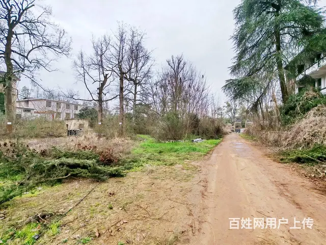 （老板本人）宁乡高速旁独门独院厂房出租  6116 - 图片 9
