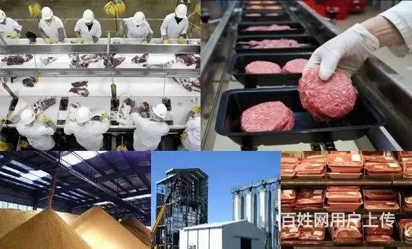 出国劳务加拿大高薪招聘油漆工面点师维修工年薪50万 - 图片 1