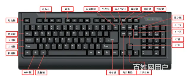 泉州学电脑打字表格制作网页下载图片处理 - 图片