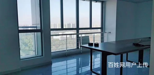 金鹏国际 - 图片 1