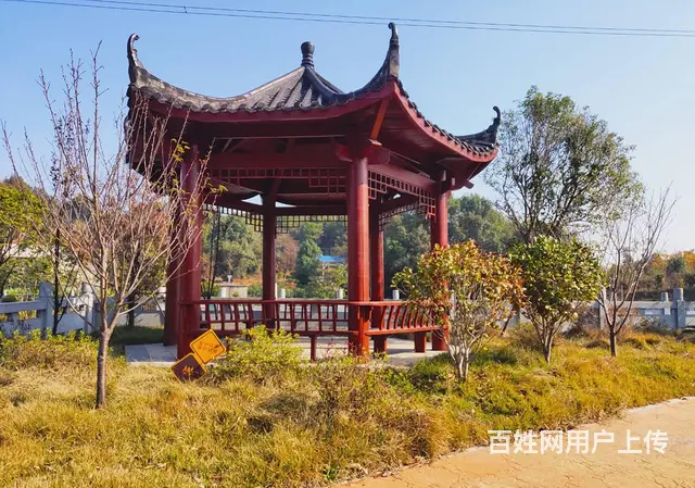 （老板本人）跳马镇独门独院农家乐/民宿/私人会所/房屋出租 - 图片 7