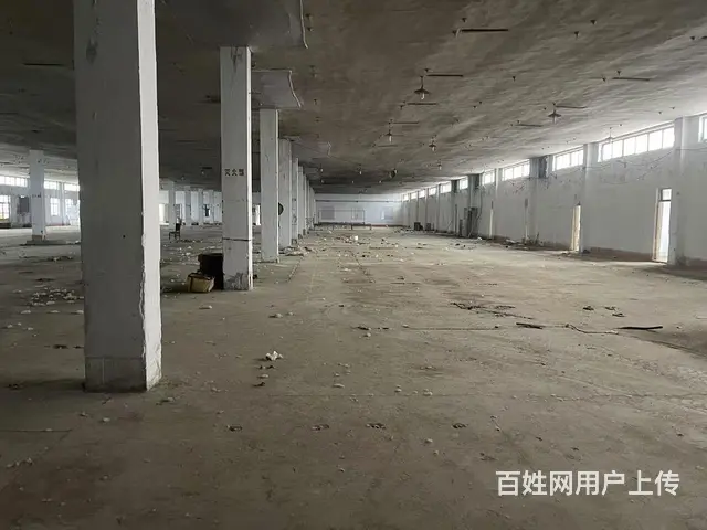 淄川区罗村镇厂房出租 - 图片 2