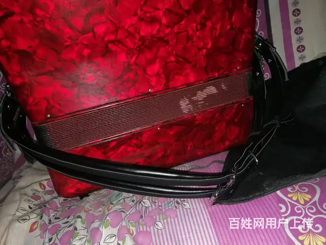 出售二手手风琴 - 图片 4