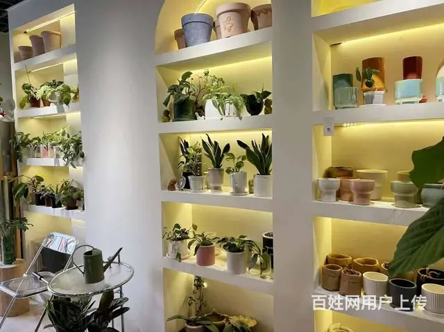 （兴铺）长虹国际城路口转角旺铺空转行业不限制 - 图片 4