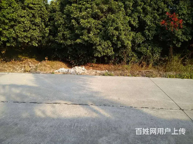 从化区城郊街旅游区附近3亩果园平地庄园整体转让 - 图片 2