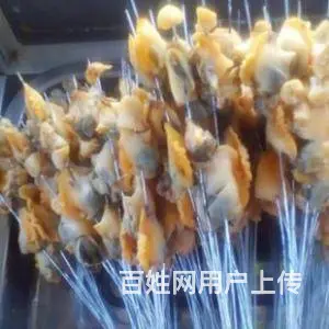 学习麻辣拌技术拌鸡架铁丝小串电烤肉串加盟店小吃部 - 图片 4