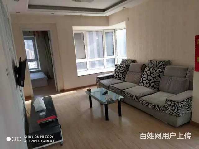 地铁房丽十二公馆(铁西) 普通住宅2厅 中等装修 - 图片 6