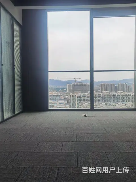 亏本卖2万5各付 金融城绿地中心 高层现楼 地铁上 - 图片 3