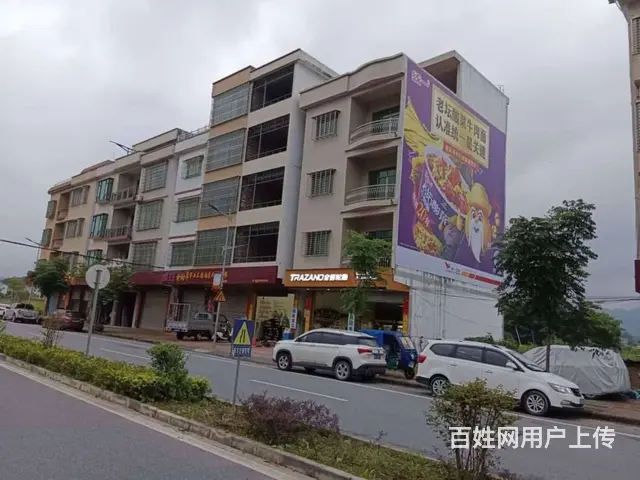 衡阳外墙挂布广告 刷外墙广告技术成熟多年行业经验 - 图片