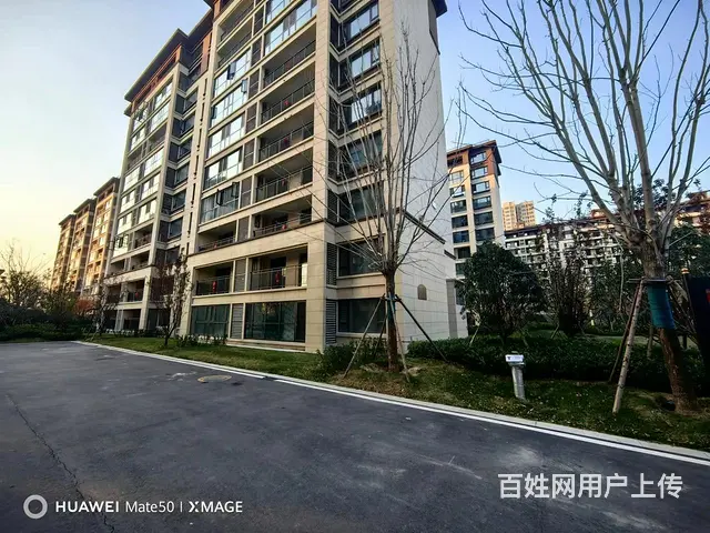 新区  示范区实验 东方府 电梯洋房 毛坯房 - 图片 1