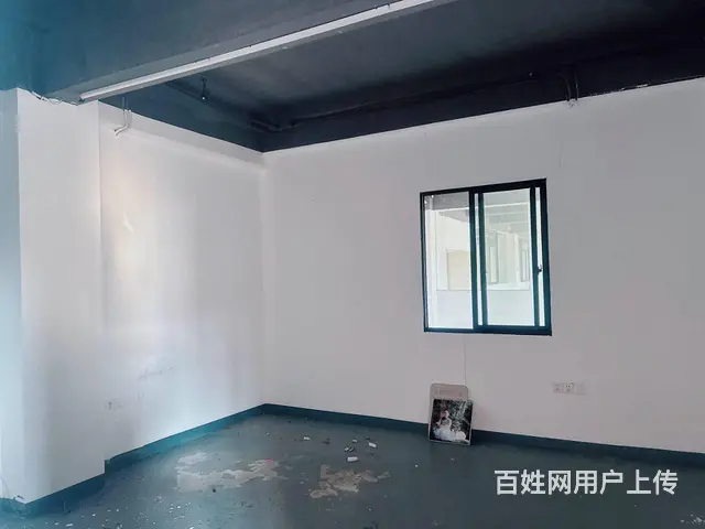 （老板本人）开福区佳海工业园精装修厂房/仓库出租 6843 - 图片 9