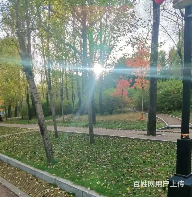 日租三小时58元,密码锁 - 图片 1