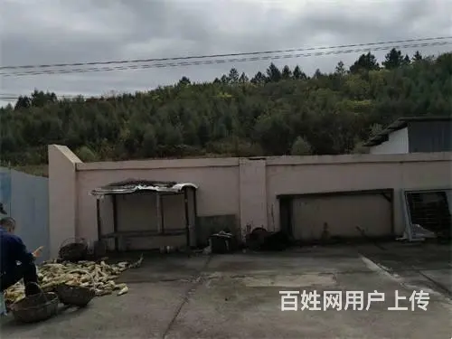 吉林市丰满区小孤家子一社平房土地出售 - 图片 7