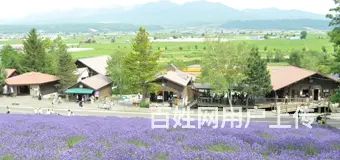 娄底到长沙拼车电话，网约车黑车商务车小车队电话 - 图片
