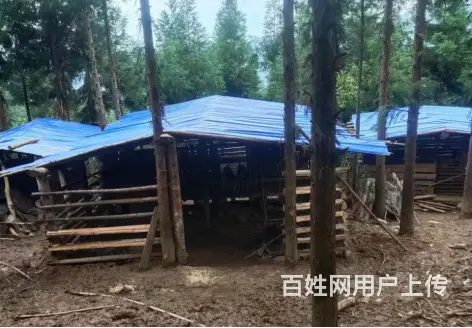 张家界到长沙拼车商务车私家车专线黑车小车队号码 - 图片